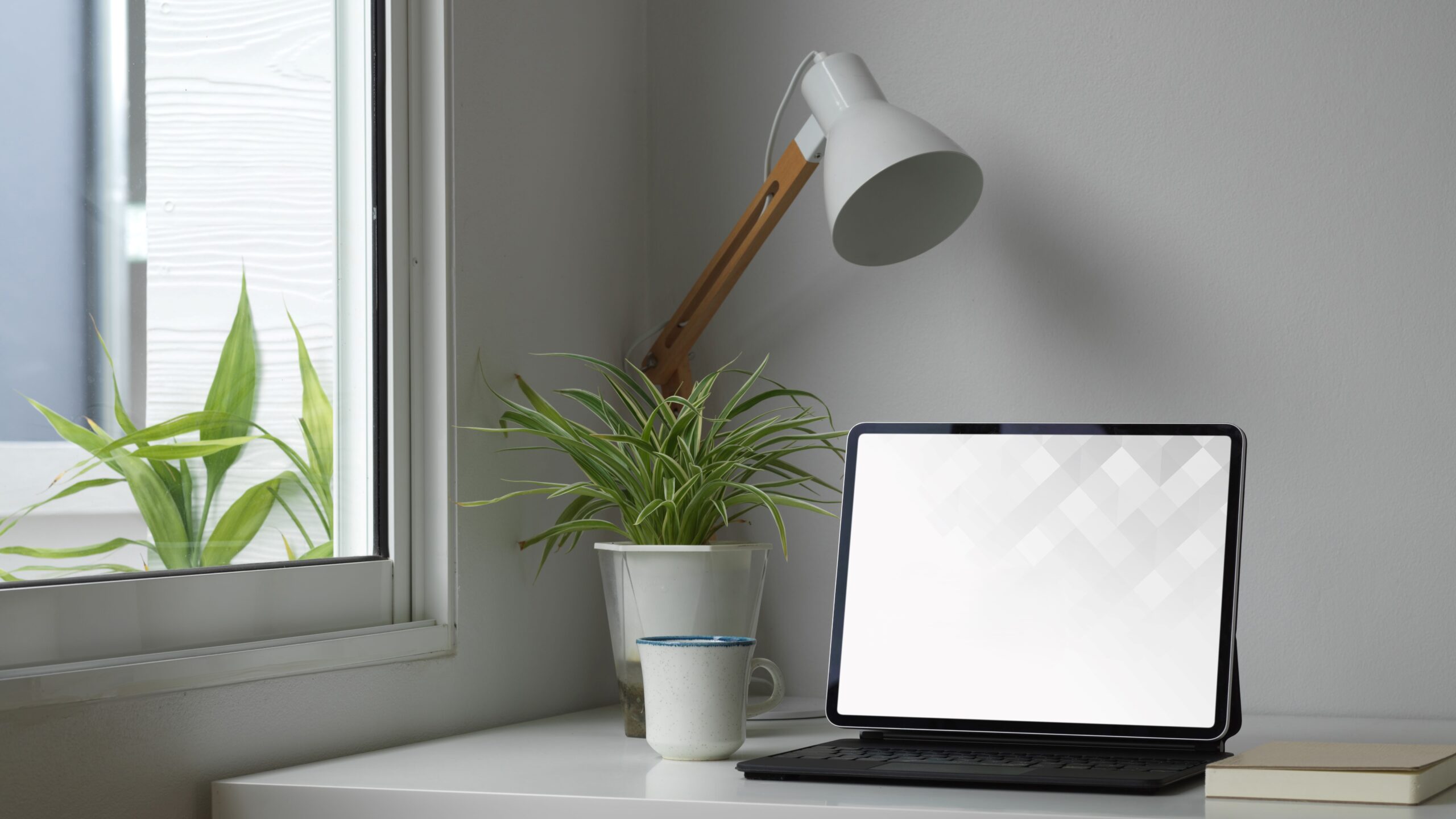 Lighting Techniques for Document Photography at Home